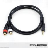 2x RCA naar 3.5mm mini Jack cable, 0.3 m, f/m