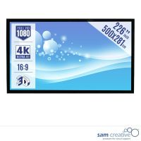 Pantalla de proyección Cine 4K|Ultra HD 500x281 cm